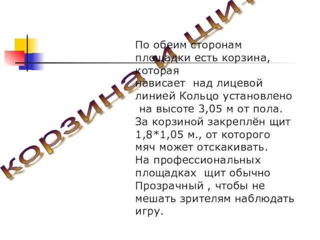 корзина и щит По обеим сторонам площадки есть корзина, которая нависает над