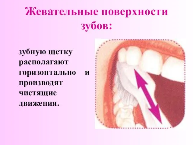 Жевательные поверхности зубов: зубную щетку располагают горизонтально и производят чистящие движения.