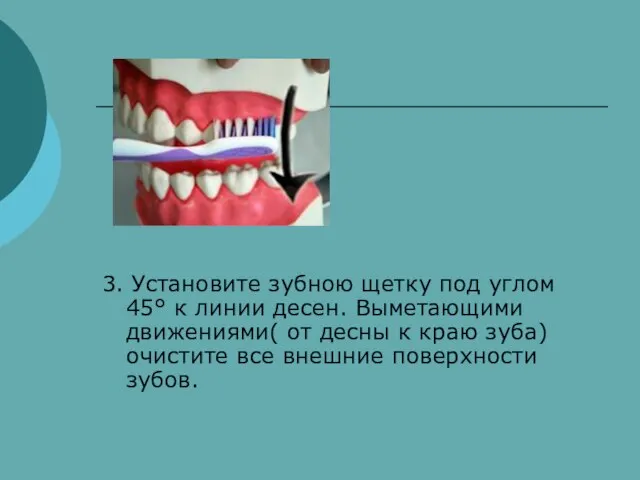 3. Установите зубною щетку под углом 45° к линии десен. Выметающими движениями(