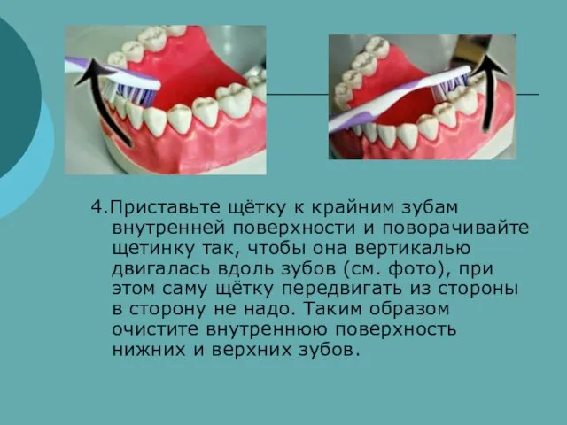 4.Приставьте щётку к крайним зубам внутренней поверхности и поворачивайте щетинку так, чтобы