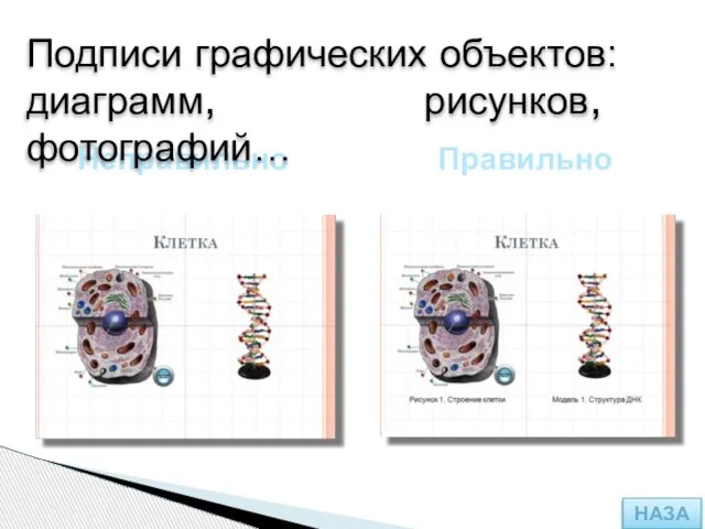 Правильно Неправильно Подписи графических объектов: диаграмм, рисунков, фотографий… НАЗАД