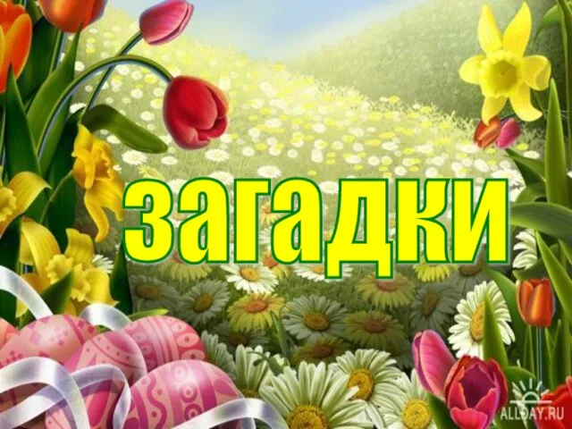 загадки