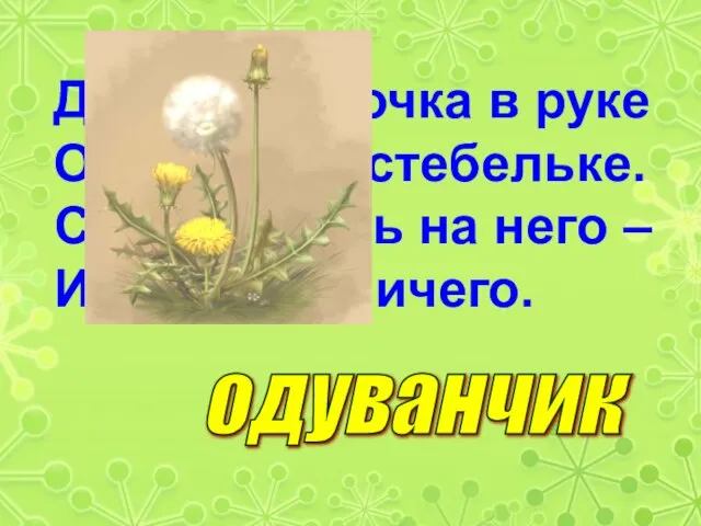 Держит девочка в руке Облачко на стебельке. Стоит дунуть на него –