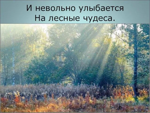 И невольно улыбается На лесные чудеса.