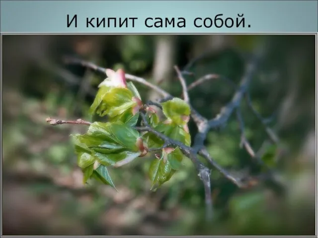 И кипит сама собой.