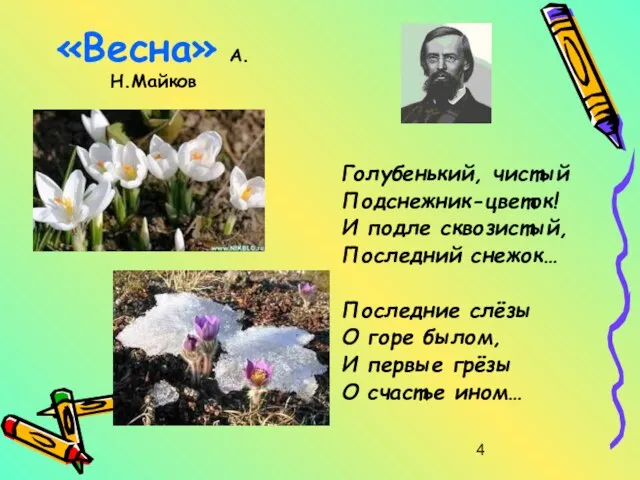 «Весна» А.Н.Майков Голубенький, чистый Подснежник-цветок! И подле сквозистый, Последний снежок… Последние слёзы