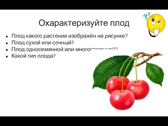 Охарактеризуйте плод Плод какого растения изображён на рисунке? Плод сухой или сочный?