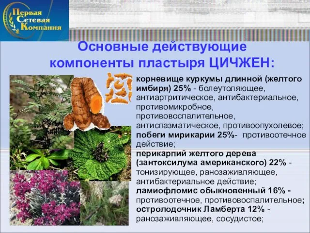 Основные действующие компоненты пластыря ЦИЧЖЕН: корневище куркумы длинной (желтого имбиря) 25% -