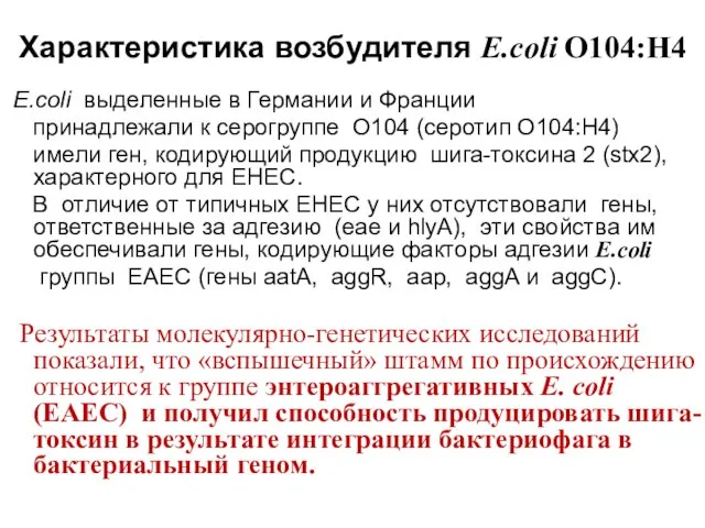 Характеристика возбудителя E.coli О104:Н4 E.coli выделенные в Германии и Франции принадлежали к