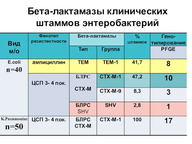 Бета-лактамазы клинических штаммов энтеробактерий