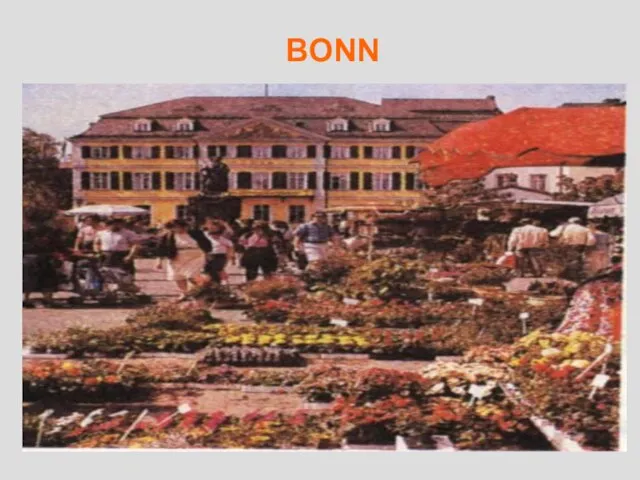 BONN