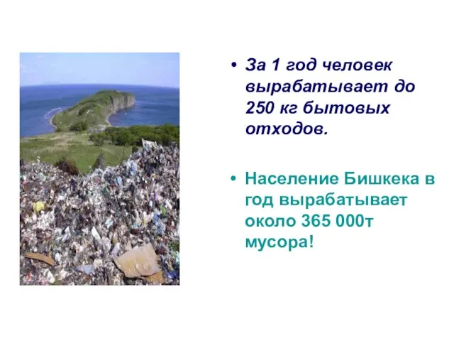 За 1 год человек вырабатывает до 250 кг бытовых отходов. Население Бишкека