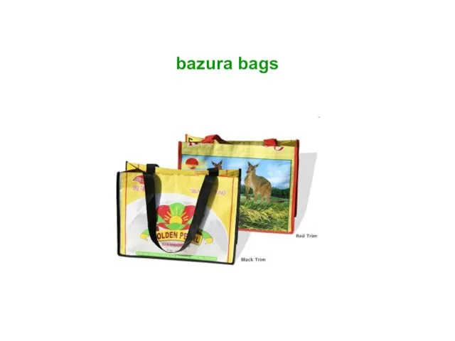 bazura bags