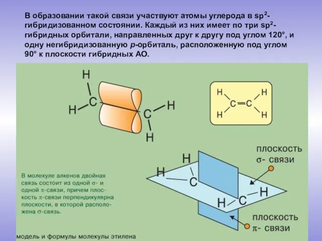 В образовании такой связи участвуют атомы углерода в sp2-гибридизованном состоянии. Каждый из