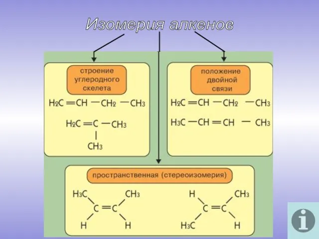 Изомерия алкенов