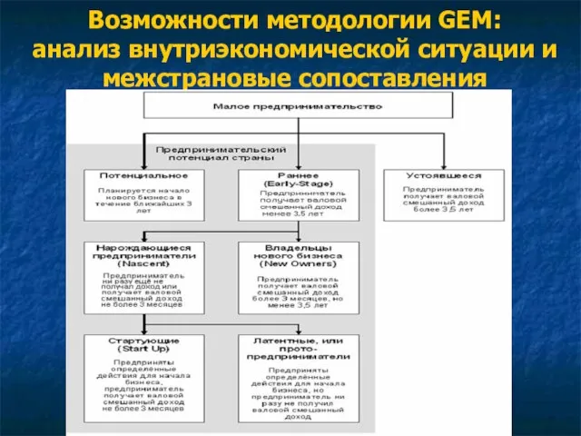 Возможности методологии GEM: анализ внутриэкономической ситуации и межстрановые сопоставления
