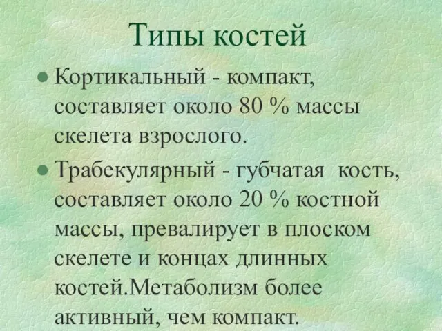 Типы костей Кортикальный - компакт, составляет около 80 % массы скелета взрослого.