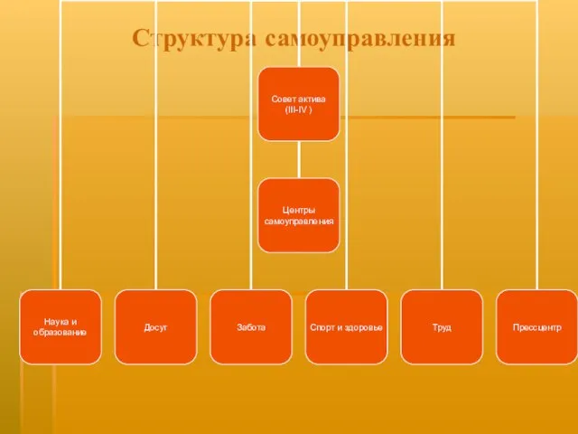 Структура самоуправления