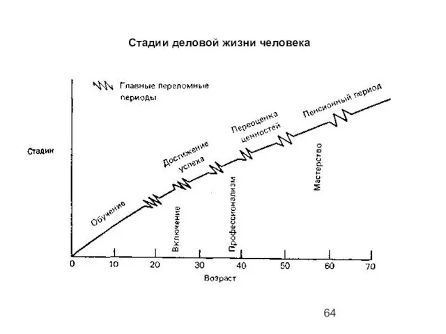 Стадии деловой жизни человека