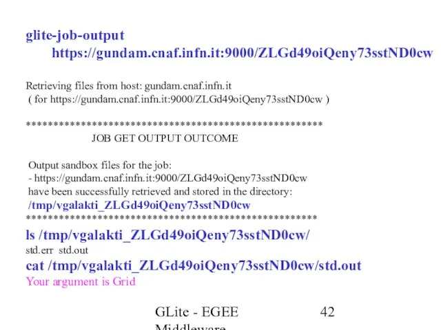 GLite - EGEE Middleware glite-job-output https://gundam.cnaf.infn.it:9000/ZLGd49oiQeny73sstND0cw Retrieving files from host: gundam.cnaf.infn.it (