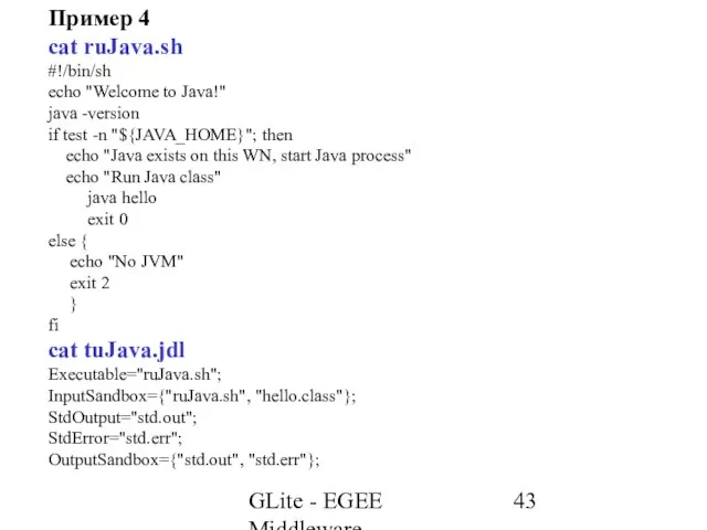 GLite - EGEE Middleware Пример 4 cat ruJava.sh #!/bin/sh echo "Welcome to