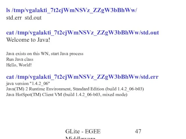 GLite - EGEE Middleware ls /tmp/vgalakti_7t2cjWmNSVz_ZZgW3bBhWw/ std.err std.out cat /tmp/vgalakti_7t2cjWmNSVz_ZZgW3bBhWw/std.out Welcome to