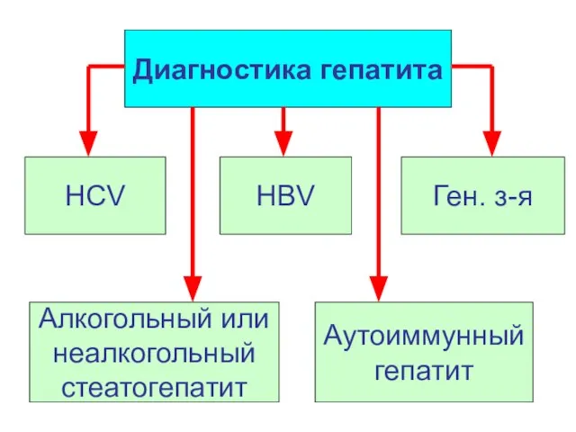 Диагностика гепатита HBV HCV Ген. з-я Алкогольный или неалкогольный стеатогепатит Аутоиммунный гепатит