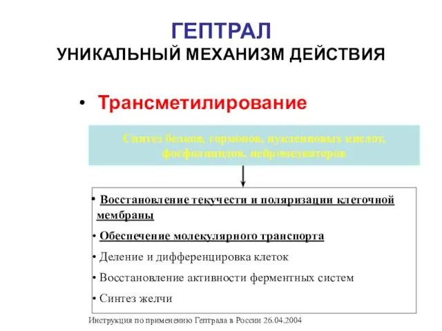 ГЕПТРАЛ УНИКАЛЬНЫЙ МЕХАНИЗМ ДЕЙСТВИЯ Трансметилирование Синтез белков, гормонов, нуклеиновых кислот, фосфолипидов, нейромедиаторов