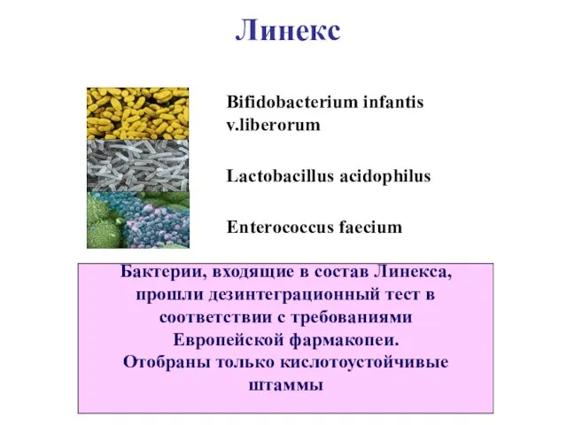 Bifidobacterium infantis v.liberorum Lactobacillus acidophilus Enterococcus faecium Бактерии, входящие в состав Линекса,