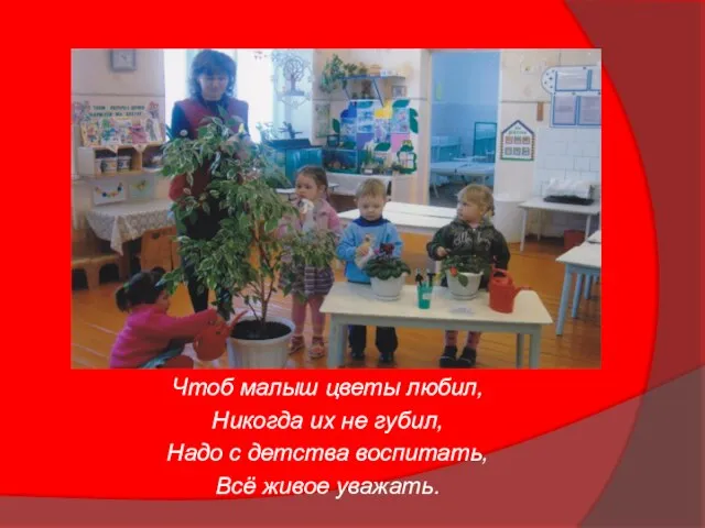 Чтоб малыш цветы любил, Никогда их не губил, Надо с детства воспитать, Всё живое уважать.