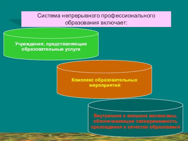 Система непрерывного профессионального образования включает: Внутренние и внешние механизмы, обеспечивающие своевременность прохождения