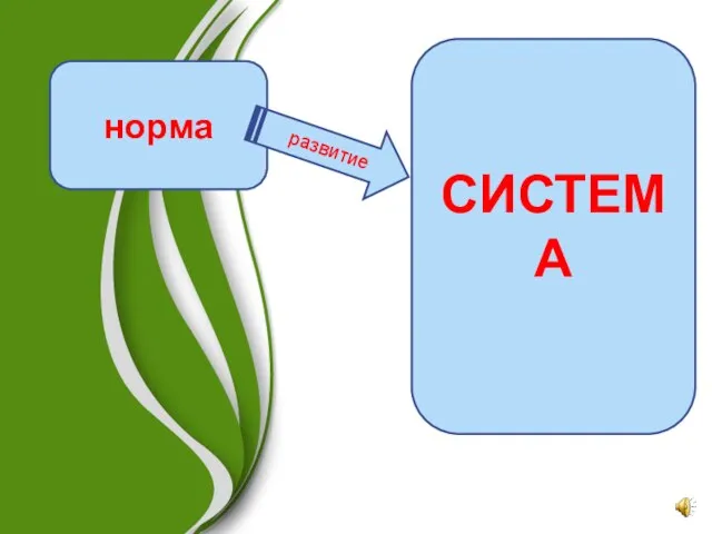 норма развитие СИСТЕМА