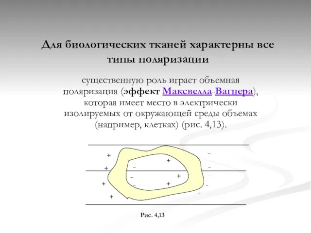 Для биологических тканей характерны все типы поляризации существенную роль играет объемная поляризация