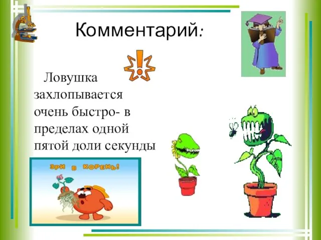 Комментарий: Ловушка захлопывается очень быстро- в пределах одной пятой доли секунды