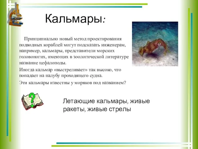 Кальмары: Принципиально новый метод проектирования подводных кораблей могут подсказать инженерам, например, кальмары,