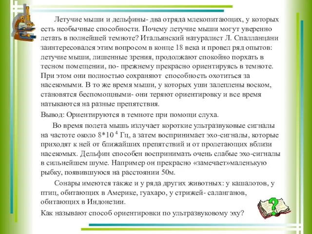 Летучие мыши и дельфины- два отряда млекопитающих, у которых есть необычные способности.