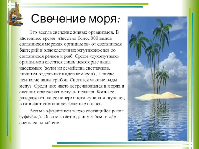 Свечение моря: Это всегда свечение живых организмов. В настоящее время известно более