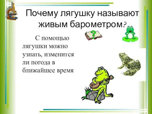 Почему лягушку называют живым барометром? С помощью лягушки можно узнать, изменится ли погода в ближайшее время