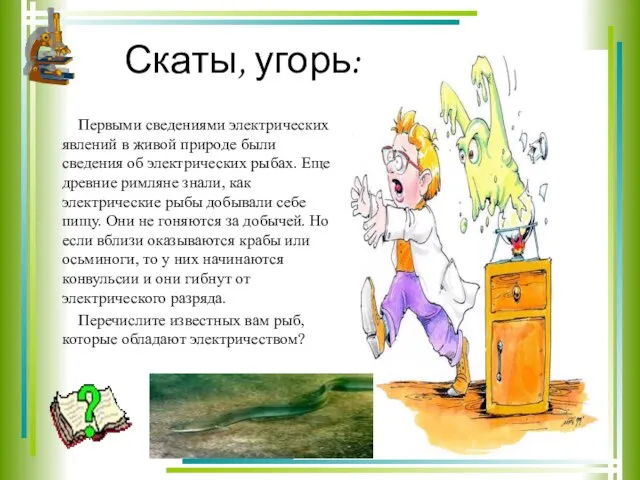 Скаты, угорь: Первыми сведениями электрических явлений в живой природе были сведения об