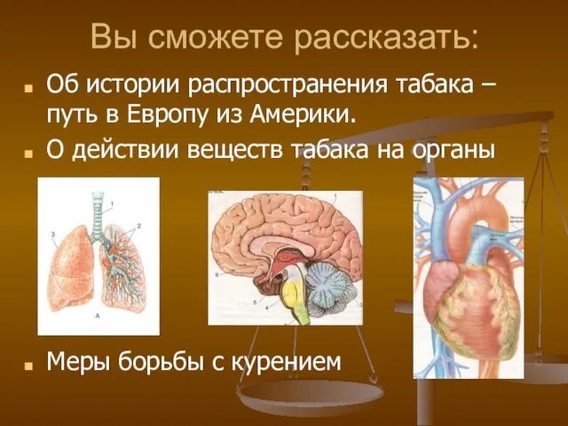 Вы сможете рассказать: Об истории распространения табака – путь в Европу из