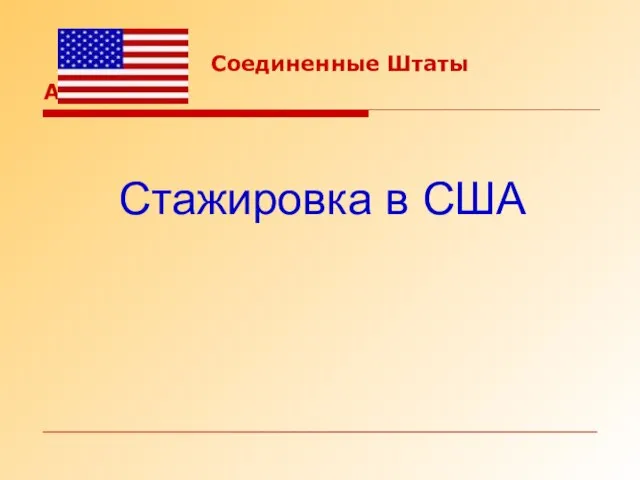 Соединенные Штаты Америки: Стажировка в США