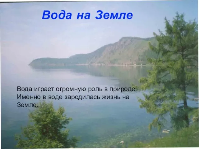 Вода играет огромную роль в природе. Именно в воде зародилась жизнь на Земле. Вода на Земле