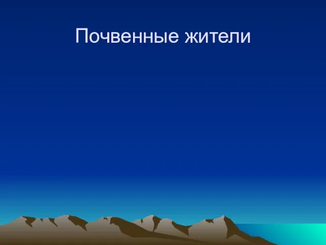 Почвенные жители