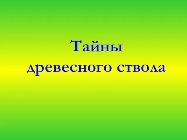 Тайны древесного ствола