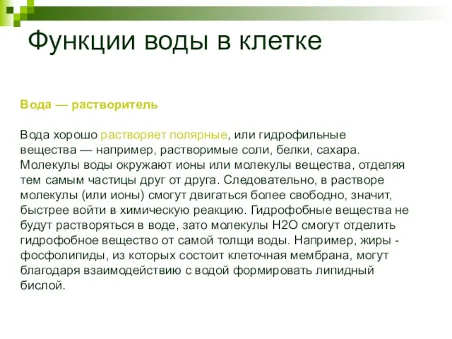 Функции воды в клетке Вода — растворитель Вода хорошо растворяет полярные, или