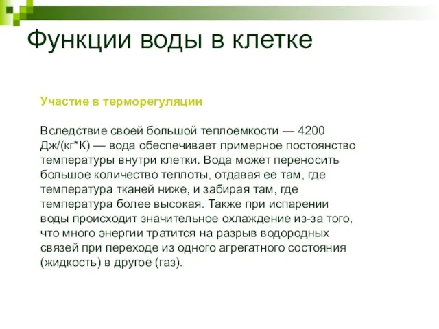 Функции воды в клетке Участие в терморегуляции Вследствие своей большой теплоемкости —