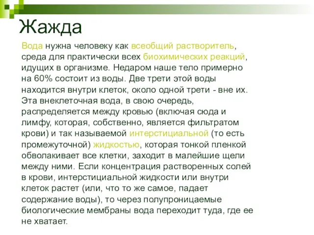 Жажда Вода нужна человеку как всеобщий растворитель, среда для практически всех биохимических