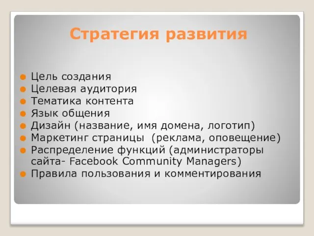 Стратегия развития Цель создания Целевая аудитория Тематика контента Язык общения Дизайн (название,