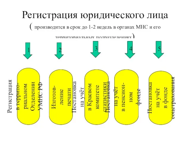 Регистрация юридического лица ( производится в срок до 1-2 недель в органах