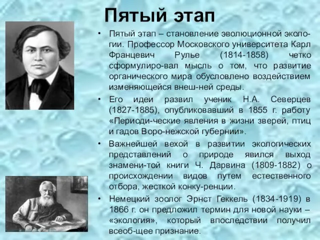 Пятый этап Пятый этап – становление эволюционной эколо-гии. Профессор Московского университета Карл